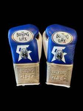 Authentic blue and metallic silver No Boxing No Life professional boxing gloves featuring the grizzly bear graphic and official branding.