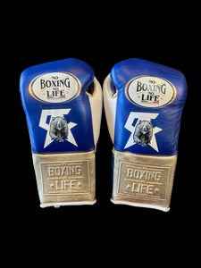 Authentic blue and metallic silver No Boxing No Life professional boxing gloves featuring the grizzly bear graphic and official branding.