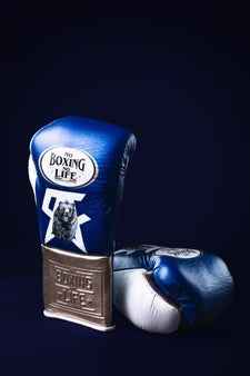 Authentic blue and metallic silver No Boxing No Life professional boxing gloves featuring the grizzly bear graphic and official branding.