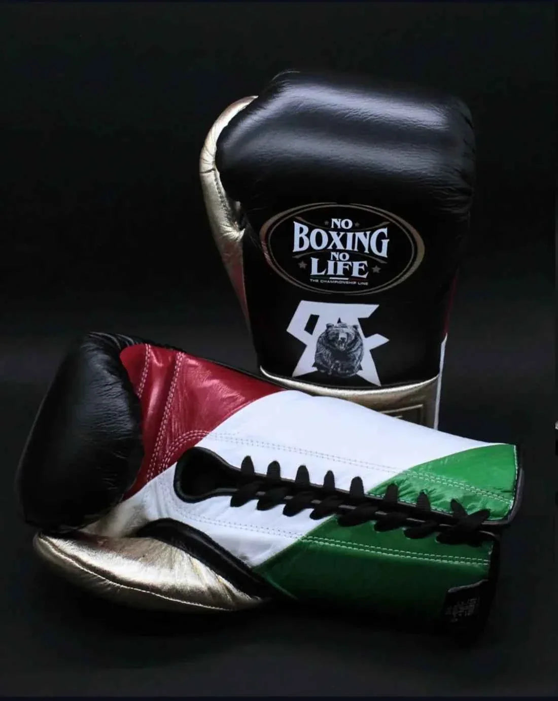 Authentic No Boxing No Life professional lace-up gloves in custom black and metallic gold with Mexican flag palm and grizzly bear graphic.