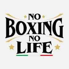 No Boxing No Life Professional Lace-Up Boxing Gloves - White Multi-Color Cross-Patch Edition - PunchPro Boxing