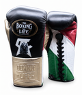 Diseño de bandera No Boxing No Life Guantes negros y dorados